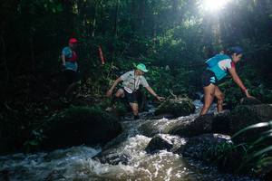 BIB: 
                            <button type="button" onclick="openModal(26776734)" class="btn btn-primary btn-sm float-right btn-popup" data-toggle="modal" data-target=".modal-high-quality">
                        <i class="fas fa-shopping-cart"></i> Add to Cart
                    </button>
                                            <button type="button" onclick="isThisMe(26776734, true)" class="btn btn-success btn-sm float-right btn-popup btn-isme hidden" data-toggle="tooltip" data-placement="bottom" title="นี่คือรูปของคุณใช่ไหม คลิกที่นี่เพื่อเอาเข้าอัลบั้ม">
                        <i class="fas fa-plus"></i> Add to album
                    </button>
                    <button type="button" onclick="isThisMe(26776734, false)" class="btn btn-warning btn-sm float-right btn-popup btn-isnotme hidden">
                        <i class="fas fa-ban"></i> Remove from album
                    </button>