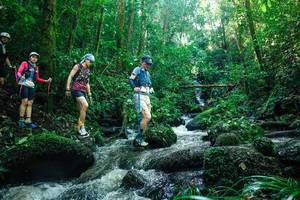 BIB: 
                            <button type="button" onclick="openModal(26780709)" class="btn btn-primary btn-sm float-right btn-popup" data-toggle="modal" data-target=".modal-high-quality">
                        <i class="fas fa-shopping-cart"></i> Add to Cart
                    </button>
                                            <button type="button" onclick="isThisMe(26780709, true)" class="btn btn-success btn-sm float-right btn-popup btn-isme hidden" data-toggle="tooltip" data-placement="bottom" title="นี่คือรูปของคุณใช่ไหม คลิกที่นี่เพื่อเอาเข้าอัลบั้ม">
                        <i class="fas fa-plus"></i> Add to album
                    </button>
                    <button type="button" onclick="isThisMe(26780709, false)" class="btn btn-warning btn-sm float-right btn-popup btn-isnotme hidden">
                        <i class="fas fa-ban"></i> Remove from album
                    </button>