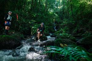 BIB: 
                            <button type="button" onclick="openModal(26773585)" class="btn btn-primary btn-sm float-right btn-popup" data-toggle="modal" data-target=".modal-high-quality">
                        <i class="fas fa-shopping-cart"></i> Add to Cart
                    </button>
                                            <button type="button" onclick="isThisMe(26773585, true)" class="btn btn-success btn-sm float-right btn-popup btn-isme hidden" data-toggle="tooltip" data-placement="bottom" title="นี่คือรูปของคุณใช่ไหม คลิกที่นี่เพื่อเอาเข้าอัลบั้ม">
                        <i class="fas fa-plus"></i> Add to album
                    </button>
                    <button type="button" onclick="isThisMe(26773585, false)" class="btn btn-warning btn-sm float-right btn-popup btn-isnotme hidden">
                        <i class="fas fa-ban"></i> Remove from album
                    </button>