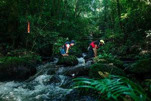 BIB: 
                            <button type="button" onclick="openModal(26772495)" class="btn btn-primary btn-sm float-right btn-popup" data-toggle="modal" data-target=".modal-high-quality">
                        <i class="fas fa-shopping-cart"></i> Add to Cart
                    </button>
                                            <button type="button" onclick="isThisMe(26772495, true)" class="btn btn-success btn-sm float-right btn-popup btn-isme hidden" data-toggle="tooltip" data-placement="bottom" title="นี่คือรูปของคุณใช่ไหม คลิกที่นี่เพื่อเอาเข้าอัลบั้ม">
                        <i class="fas fa-plus"></i> Add to album
                    </button>
                    <button type="button" onclick="isThisMe(26772495, false)" class="btn btn-warning btn-sm float-right btn-popup btn-isnotme hidden">
                        <i class="fas fa-ban"></i> Remove from album
                    </button>