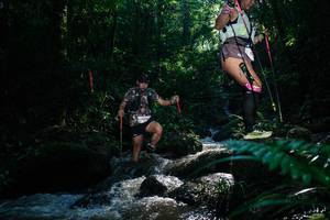 BIB: 
                            <button type="button" onclick="openModal(26776632)" class="btn btn-primary btn-sm float-right btn-popup" data-toggle="modal" data-target=".modal-high-quality">
                        <i class="fas fa-shopping-cart"></i> Add to Cart
                    </button>
                                            <button type="button" onclick="isThisMe(26776632, true)" class="btn btn-success btn-sm float-right btn-popup btn-isme hidden" data-toggle="tooltip" data-placement="bottom" title="นี่คือรูปของคุณใช่ไหม คลิกที่นี่เพื่อเอาเข้าอัลบั้ม">
                        <i class="fas fa-plus"></i> Add to album
                    </button>
                    <button type="button" onclick="isThisMe(26776632, false)" class="btn btn-warning btn-sm float-right btn-popup btn-isnotme hidden">
                        <i class="fas fa-ban"></i> Remove from album
                    </button>