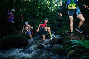 BIB: 
                            <button type="button" onclick="openModal(26778689)" class="btn btn-primary btn-sm float-right btn-popup" data-toggle="modal" data-target=".modal-high-quality">
                        <i class="fas fa-shopping-cart"></i> Add to Cart
                    </button>
                                            <button type="button" onclick="isThisMe(26778689, true)" class="btn btn-success btn-sm float-right btn-popup btn-isme hidden" data-toggle="tooltip" data-placement="bottom" title="นี่คือรูปของคุณใช่ไหม คลิกที่นี่เพื่อเอาเข้าอัลบั้ม">
                        <i class="fas fa-plus"></i> Add to album
                    </button>
                    <button type="button" onclick="isThisMe(26778689, false)" class="btn btn-warning btn-sm float-right btn-popup btn-isnotme hidden">
                        <i class="fas fa-ban"></i> Remove from album
                    </button>