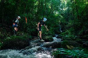 BIB: 
                            <button type="button" onclick="openModal(26773582)" class="btn btn-primary btn-sm float-right btn-popup" data-toggle="modal" data-target=".modal-high-quality">
                        <i class="fas fa-shopping-cart"></i> Add to Cart
                    </button>
                                            <button type="button" onclick="isThisMe(26773582, true)" class="btn btn-success btn-sm float-right btn-popup btn-isme hidden" data-toggle="tooltip" data-placement="bottom" title="นี่คือรูปของคุณใช่ไหม คลิกที่นี่เพื่อเอาเข้าอัลบั้ม">
                        <i class="fas fa-plus"></i> Add to album
                    </button>
                    <button type="button" onclick="isThisMe(26773582, false)" class="btn btn-warning btn-sm float-right btn-popup btn-isnotme hidden">
                        <i class="fas fa-ban"></i> Remove from album
                    </button>