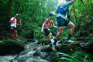 BIB: 
                            <button type="button" onclick="openModal(26780780)" class="btn btn-primary btn-sm float-right btn-popup" data-toggle="modal" data-target=".modal-high-quality">
                        <i class="fas fa-shopping-cart"></i> Add to Cart
                    </button>
                                            <button type="button" onclick="isThisMe(26780780, true)" class="btn btn-success btn-sm float-right btn-popup btn-isme hidden" data-toggle="tooltip" data-placement="bottom" title="นี่คือรูปของคุณใช่ไหม คลิกที่นี่เพื่อเอาเข้าอัลบั้ม">
                        <i class="fas fa-plus"></i> Add to album
                    </button>
                    <button type="button" onclick="isThisMe(26780780, false)" class="btn btn-warning btn-sm float-right btn-popup btn-isnotme hidden">
                        <i class="fas fa-ban"></i> Remove from album
                    </button>