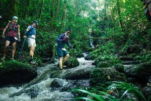 BIB: 
                            <button type="button" onclick="openModal(26780696)" class="btn btn-primary btn-sm float-right btn-popup" data-toggle="modal" data-target=".modal-high-quality">
                        <i class="fas fa-shopping-cart"></i> Add to Cart
                    </button>
                                            <button type="button" onclick="isThisMe(26780696, true)" class="btn btn-success btn-sm float-right btn-popup btn-isme hidden" data-toggle="tooltip" data-placement="bottom" title="นี่คือรูปของคุณใช่ไหม คลิกที่นี่เพื่อเอาเข้าอัลบั้ม">
                        <i class="fas fa-plus"></i> Add to album
                    </button>
                    <button type="button" onclick="isThisMe(26780696, false)" class="btn btn-warning btn-sm float-right btn-popup btn-isnotme hidden">
                        <i class="fas fa-ban"></i> Remove from album
                    </button>