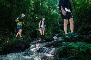 BIB: 
                            <button type="button" onclick="openModal(26773746)" class="btn btn-primary btn-sm float-right btn-popup" data-toggle="modal" data-target=".modal-high-quality">
                        <i class="fas fa-shopping-cart"></i> Add to Cart
                    </button>
                                            <button type="button" onclick="isThisMe(26773746, true)" class="btn btn-success btn-sm float-right btn-popup btn-isme hidden" data-toggle="tooltip" data-placement="bottom" title="นี่คือรูปของคุณใช่ไหม คลิกที่นี่เพื่อเอาเข้าอัลบั้ม">
                        <i class="fas fa-plus"></i> Add to album
                    </button>
                    <button type="button" onclick="isThisMe(26773746, false)" class="btn btn-warning btn-sm float-right btn-popup btn-isnotme hidden">
                        <i class="fas fa-ban"></i> Remove from album
                    </button>