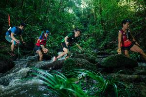 BIB: 
                            <button type="button" onclick="openModal(26775023)" class="btn btn-primary btn-sm float-right btn-popup" data-toggle="modal" data-target=".modal-high-quality">
                        <i class="fas fa-shopping-cart"></i> Add to Cart
                    </button>
                                            <button type="button" onclick="isThisMe(26775023, true)" class="btn btn-success btn-sm float-right btn-popup btn-isme hidden" data-toggle="tooltip" data-placement="bottom" title="นี่คือรูปของคุณใช่ไหม คลิกที่นี่เพื่อเอาเข้าอัลบั้ม">
                        <i class="fas fa-plus"></i> Add to album
                    </button>
                    <button type="button" onclick="isThisMe(26775023, false)" class="btn btn-warning btn-sm float-right btn-popup btn-isnotme hidden">
                        <i class="fas fa-ban"></i> Remove from album
                    </button>