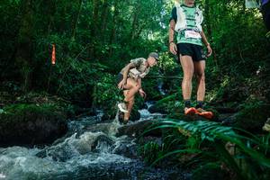 BIB: 
                            <button type="button" onclick="openModal(26772797)" class="btn btn-primary btn-sm float-right btn-popup" data-toggle="modal" data-target=".modal-high-quality">
                        <i class="fas fa-shopping-cart"></i> Add to Cart
                    </button>
                                            <button type="button" onclick="isThisMe(26772797, true)" class="btn btn-success btn-sm float-right btn-popup btn-isme hidden" data-toggle="tooltip" data-placement="bottom" title="นี่คือรูปของคุณใช่ไหม คลิกที่นี่เพื่อเอาเข้าอัลบั้ม">
                        <i class="fas fa-plus"></i> Add to album
                    </button>
                    <button type="button" onclick="isThisMe(26772797, false)" class="btn btn-warning btn-sm float-right btn-popup btn-isnotme hidden">
                        <i class="fas fa-ban"></i> Remove from album
                    </button>