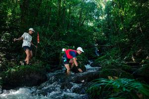 BIB: 
                            <button type="button" onclick="openModal(26701444)" class="btn btn-primary btn-sm float-right btn-popup" data-toggle="modal" data-target=".modal-high-quality">
                        <i class="fas fa-shopping-cart"></i> Add to Cart
                    </button>
                                            <button type="button" onclick="isThisMe(26701444, true)" class="btn btn-success btn-sm float-right btn-popup btn-isme hidden" data-toggle="tooltip" data-placement="bottom" title="นี่คือรูปของคุณใช่ไหม คลิกที่นี่เพื่อเอาเข้าอัลบั้ม">
                        <i class="fas fa-plus"></i> Add to album
                    </button>
                    <button type="button" onclick="isThisMe(26701444, false)" class="btn btn-warning btn-sm float-right btn-popup btn-isnotme hidden">
                        <i class="fas fa-ban"></i> Remove from album
                    </button>