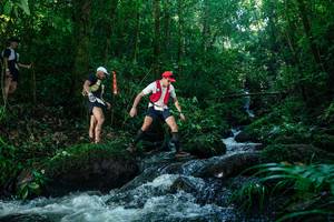 BIB: 
                            <button type="button" onclick="openModal(26773208)" class="btn btn-primary btn-sm float-right btn-popup" data-toggle="modal" data-target=".modal-high-quality">
                        <i class="fas fa-shopping-cart"></i> Add to Cart
                    </button>
                                            <button type="button" onclick="isThisMe(26773208, true)" class="btn btn-success btn-sm float-right btn-popup btn-isme hidden" data-toggle="tooltip" data-placement="bottom" title="นี่คือรูปของคุณใช่ไหม คลิกที่นี่เพื่อเอาเข้าอัลบั้ม">
                        <i class="fas fa-plus"></i> Add to album
                    </button>
                    <button type="button" onclick="isThisMe(26773208, false)" class="btn btn-warning btn-sm float-right btn-popup btn-isnotme hidden">
                        <i class="fas fa-ban"></i> Remove from album
                    </button>