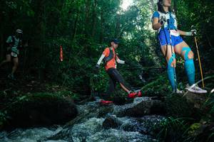 BIB: 
                            <button type="button" onclick="openModal(26775117)" class="btn btn-primary btn-sm float-right btn-popup" data-toggle="modal" data-target=".modal-high-quality">
                        <i class="fas fa-shopping-cart"></i> Add to Cart
                    </button>
                                            <button type="button" onclick="isThisMe(26775117, true)" class="btn btn-success btn-sm float-right btn-popup btn-isme hidden" data-toggle="tooltip" data-placement="bottom" title="นี่คือรูปของคุณใช่ไหม คลิกที่นี่เพื่อเอาเข้าอัลบั้ม">
                        <i class="fas fa-plus"></i> Add to album
                    </button>
                    <button type="button" onclick="isThisMe(26775117, false)" class="btn btn-warning btn-sm float-right btn-popup btn-isnotme hidden">
                        <i class="fas fa-ban"></i> Remove from album
                    </button>