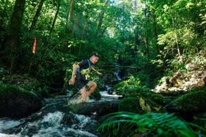 BIB: 
                            <button type="button" onclick="openModal(26694595)" class="btn btn-primary btn-sm float-right btn-popup" data-toggle="modal" data-target=".modal-high-quality">
                        <i class="fas fa-shopping-cart"></i> Add to Cart
                    </button>
                                            <button type="button" onclick="isThisMe(26694595, true)" class="btn btn-success btn-sm float-right btn-popup btn-isme hidden" data-toggle="tooltip" data-placement="bottom" title="นี่คือรูปของคุณใช่ไหม คลิกที่นี่เพื่อเอาเข้าอัลบั้ม">
                        <i class="fas fa-plus"></i> Add to album
                    </button>
                    <button type="button" onclick="isThisMe(26694595, false)" class="btn btn-warning btn-sm float-right btn-popup btn-isnotme hidden">
                        <i class="fas fa-ban"></i> Remove from album
                    </button>