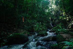 BIB: 
                            <button type="button" onclick="openModal(26775564)" class="btn btn-primary btn-sm float-right btn-popup" data-toggle="modal" data-target=".modal-high-quality">
                        <i class="fas fa-shopping-cart"></i> Add to Cart
                    </button>
                                            <button type="button" onclick="isThisMe(26775564, true)" class="btn btn-success btn-sm float-right btn-popup btn-isme hidden" data-toggle="tooltip" data-placement="bottom" title="นี่คือรูปของคุณใช่ไหม คลิกที่นี่เพื่อเอาเข้าอัลบั้ม">
                        <i class="fas fa-plus"></i> Add to album
                    </button>
                    <button type="button" onclick="isThisMe(26775564, false)" class="btn btn-warning btn-sm float-right btn-popup btn-isnotme hidden">
                        <i class="fas fa-ban"></i> Remove from album
                    </button>