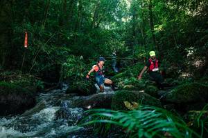 BIB: 
                            <button type="button" onclick="openModal(26772497)" class="btn btn-primary btn-sm float-right btn-popup" data-toggle="modal" data-target=".modal-high-quality">
                        <i class="fas fa-shopping-cart"></i> Add to Cart
                    </button>
                                            <button type="button" onclick="isThisMe(26772497, true)" class="btn btn-success btn-sm float-right btn-popup btn-isme hidden" data-toggle="tooltip" data-placement="bottom" title="นี่คือรูปของคุณใช่ไหม คลิกที่นี่เพื่อเอาเข้าอัลบั้ม">
                        <i class="fas fa-plus"></i> Add to album
                    </button>
                    <button type="button" onclick="isThisMe(26772497, false)" class="btn btn-warning btn-sm float-right btn-popup btn-isnotme hidden">
                        <i class="fas fa-ban"></i> Remove from album
                    </button>