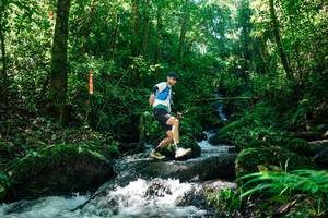 BIB: 
                            <button type="button" onclick="openModal(26696686)" class="btn btn-primary btn-sm float-right btn-popup" data-toggle="modal" data-target=".modal-high-quality">
                        <i class="fas fa-shopping-cart"></i> Add to Cart
                    </button>
                                            <button type="button" onclick="isThisMe(26696686, true)" class="btn btn-success btn-sm float-right btn-popup btn-isme hidden" data-toggle="tooltip" data-placement="bottom" title="นี่คือรูปของคุณใช่ไหม คลิกที่นี่เพื่อเอาเข้าอัลบั้ม">
                        <i class="fas fa-plus"></i> Add to album
                    </button>
                    <button type="button" onclick="isThisMe(26696686, false)" class="btn btn-warning btn-sm float-right btn-popup btn-isnotme hidden">
                        <i class="fas fa-ban"></i> Remove from album
                    </button>