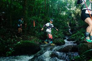 BIB: 
                            <button type="button" onclick="openModal(26781630)" class="btn btn-primary btn-sm float-right btn-popup" data-toggle="modal" data-target=".modal-high-quality">
                        <i class="fas fa-shopping-cart"></i> Add to Cart
                    </button>
                                            <button type="button" onclick="isThisMe(26781630, true)" class="btn btn-success btn-sm float-right btn-popup btn-isme hidden" data-toggle="tooltip" data-placement="bottom" title="นี่คือรูปของคุณใช่ไหม คลิกที่นี่เพื่อเอาเข้าอัลบั้ม">
                        <i class="fas fa-plus"></i> Add to album
                    </button>
                    <button type="button" onclick="isThisMe(26781630, false)" class="btn btn-warning btn-sm float-right btn-popup btn-isnotme hidden">
                        <i class="fas fa-ban"></i> Remove from album
                    </button>