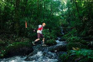 BIB: 
                            <button type="button" onclick="openModal(26727969)" class="btn btn-primary btn-sm float-right btn-popup" data-toggle="modal" data-target=".modal-high-quality">
                        <i class="fas fa-shopping-cart"></i> Add to Cart
                    </button>
                                            <button type="button" onclick="isThisMe(26727969, true)" class="btn btn-success btn-sm float-right btn-popup btn-isme hidden" data-toggle="tooltip" data-placement="bottom" title="นี่คือรูปของคุณใช่ไหม คลิกที่นี่เพื่อเอาเข้าอัลบั้ม">
                        <i class="fas fa-plus"></i> Add to album
                    </button>
                    <button type="button" onclick="isThisMe(26727969, false)" class="btn btn-warning btn-sm float-right btn-popup btn-isnotme hidden">
                        <i class="fas fa-ban"></i> Remove from album
                    </button>