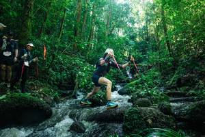 BIB: 
                            <button type="button" onclick="openModal(26780650)" class="btn btn-primary btn-sm float-right btn-popup" data-toggle="modal" data-target=".modal-high-quality">
                        <i class="fas fa-shopping-cart"></i> Add to Cart
                    </button>
                                            <button type="button" onclick="isThisMe(26780650, true)" class="btn btn-success btn-sm float-right btn-popup btn-isme hidden" data-toggle="tooltip" data-placement="bottom" title="นี่คือรูปของคุณใช่ไหม คลิกที่นี่เพื่อเอาเข้าอัลบั้ม">
                        <i class="fas fa-plus"></i> Add to album
                    </button>
                    <button type="button" onclick="isThisMe(26780650, false)" class="btn btn-warning btn-sm float-right btn-popup btn-isnotme hidden">
                        <i class="fas fa-ban"></i> Remove from album
                    </button>