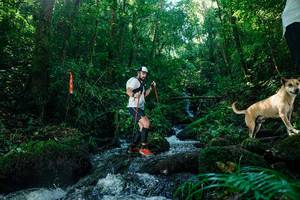 BIB: 
                            <button type="button" onclick="openModal(26756163)" class="btn btn-primary btn-sm float-right btn-popup" data-toggle="modal" data-target=".modal-high-quality">
                        <i class="fas fa-shopping-cart"></i> Add to Cart
                    </button>
                                            <button type="button" onclick="isThisMe(26756163, true)" class="btn btn-success btn-sm float-right btn-popup btn-isme hidden" data-toggle="tooltip" data-placement="bottom" title="นี่คือรูปของคุณใช่ไหม คลิกที่นี่เพื่อเอาเข้าอัลบั้ม">
                        <i class="fas fa-plus"></i> Add to album
                    </button>
                    <button type="button" onclick="isThisMe(26756163, false)" class="btn btn-warning btn-sm float-right btn-popup btn-isnotme hidden">
                        <i class="fas fa-ban"></i> Remove from album
                    </button>