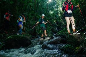 BIB: 
                            <button type="button" onclick="openModal(26775100)" class="btn btn-primary btn-sm float-right btn-popup" data-toggle="modal" data-target=".modal-high-quality">
                        <i class="fas fa-shopping-cart"></i> Add to Cart
                    </button>
                                            <button type="button" onclick="isThisMe(26775100, true)" class="btn btn-success btn-sm float-right btn-popup btn-isme hidden" data-toggle="tooltip" data-placement="bottom" title="นี่คือรูปของคุณใช่ไหม คลิกที่นี่เพื่อเอาเข้าอัลบั้ม">
                        <i class="fas fa-plus"></i> Add to album
                    </button>
                    <button type="button" onclick="isThisMe(26775100, false)" class="btn btn-warning btn-sm float-right btn-popup btn-isnotme hidden">
                        <i class="fas fa-ban"></i> Remove from album
                    </button>