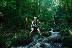 BIB: 
                            <button type="button" onclick="openModal(26780296)" class="btn btn-primary btn-sm float-right btn-popup" data-toggle="modal" data-target=".modal-high-quality">
                        <i class="fas fa-shopping-cart"></i> Add to Cart
                    </button>
                                            <button type="button" onclick="isThisMe(26780296, true)" class="btn btn-success btn-sm float-right btn-popup btn-isme hidden" data-toggle="tooltip" data-placement="bottom" title="นี่คือรูปของคุณใช่ไหม คลิกที่นี่เพื่อเอาเข้าอัลบั้ม">
                        <i class="fas fa-plus"></i> Add to album
                    </button>
                    <button type="button" onclick="isThisMe(26780296, false)" class="btn btn-warning btn-sm float-right btn-popup btn-isnotme hidden">
                        <i class="fas fa-ban"></i> Remove from album
                    </button>