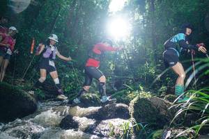 BIB: 
                            <button type="button" onclick="openModal(26775830)" class="btn btn-primary btn-sm float-right btn-popup" data-toggle="modal" data-target=".modal-high-quality">
                        <i class="fas fa-shopping-cart"></i> Add to Cart
                    </button>
                                            <button type="button" onclick="isThisMe(26775830, true)" class="btn btn-success btn-sm float-right btn-popup btn-isme hidden" data-toggle="tooltip" data-placement="bottom" title="นี่คือรูปของคุณใช่ไหม คลิกที่นี่เพื่อเอาเข้าอัลบั้ม">
                        <i class="fas fa-plus"></i> Add to album
                    </button>
                    <button type="button" onclick="isThisMe(26775830, false)" class="btn btn-warning btn-sm float-right btn-popup btn-isnotme hidden">
                        <i class="fas fa-ban"></i> Remove from album
                    </button>