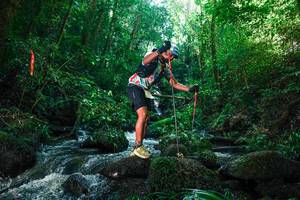 BIB: 
                            <button type="button" onclick="openModal(26780081)" class="btn btn-primary btn-sm float-right btn-popup" data-toggle="modal" data-target=".modal-high-quality">
                        <i class="fas fa-shopping-cart"></i> Add to Cart
                    </button>
                                            <button type="button" onclick="isThisMe(26780081, true)" class="btn btn-success btn-sm float-right btn-popup btn-isme hidden" data-toggle="tooltip" data-placement="bottom" title="นี่คือรูปของคุณใช่ไหม คลิกที่นี่เพื่อเอาเข้าอัลบั้ม">
                        <i class="fas fa-plus"></i> Add to album
                    </button>
                    <button type="button" onclick="isThisMe(26780081, false)" class="btn btn-warning btn-sm float-right btn-popup btn-isnotme hidden">
                        <i class="fas fa-ban"></i> Remove from album
                    </button>