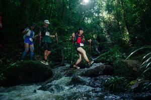 BIB: 
                            <button type="button" onclick="openModal(26775092)" class="btn btn-primary btn-sm float-right btn-popup" data-toggle="modal" data-target=".modal-high-quality">
                        <i class="fas fa-shopping-cart"></i> Add to Cart
                    </button>
                                            <button type="button" onclick="isThisMe(26775092, true)" class="btn btn-success btn-sm float-right btn-popup btn-isme hidden" data-toggle="tooltip" data-placement="bottom" title="นี่คือรูปของคุณใช่ไหม คลิกที่นี่เพื่อเอาเข้าอัลบั้ม">
                        <i class="fas fa-plus"></i> Add to album
                    </button>
                    <button type="button" onclick="isThisMe(26775092, false)" class="btn btn-warning btn-sm float-right btn-popup btn-isnotme hidden">
                        <i class="fas fa-ban"></i> Remove from album
                    </button>