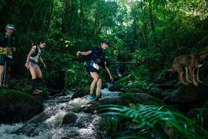 BIB: 
                            <button type="button" onclick="openModal(26773740)" class="btn btn-primary btn-sm float-right btn-popup" data-toggle="modal" data-target=".modal-high-quality">
                        <i class="fas fa-shopping-cart"></i> Add to Cart
                    </button>
                                            <button type="button" onclick="isThisMe(26773740, true)" class="btn btn-success btn-sm float-right btn-popup btn-isme hidden" data-toggle="tooltip" data-placement="bottom" title="นี่คือรูปของคุณใช่ไหม คลิกที่นี่เพื่อเอาเข้าอัลบั้ม">
                        <i class="fas fa-plus"></i> Add to album
                    </button>
                    <button type="button" onclick="isThisMe(26773740, false)" class="btn btn-warning btn-sm float-right btn-popup btn-isnotme hidden">
                        <i class="fas fa-ban"></i> Remove from album
                    </button>