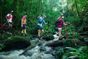 BIB: 
                            <button type="button" onclick="openModal(26780765)" class="btn btn-primary btn-sm float-right btn-popup" data-toggle="modal" data-target=".modal-high-quality">
                        <i class="fas fa-shopping-cart"></i> Add to Cart
                    </button>
                                            <button type="button" onclick="isThisMe(26780765, true)" class="btn btn-success btn-sm float-right btn-popup btn-isme hidden" data-toggle="tooltip" data-placement="bottom" title="นี่คือรูปของคุณใช่ไหม คลิกที่นี่เพื่อเอาเข้าอัลบั้ม">
                        <i class="fas fa-plus"></i> Add to album
                    </button>
                    <button type="button" onclick="isThisMe(26780765, false)" class="btn btn-warning btn-sm float-right btn-popup btn-isnotme hidden">
                        <i class="fas fa-ban"></i> Remove from album
                    </button>