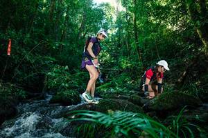 BIB: 
                            <button type="button" onclick="openModal(26772672)" class="btn btn-primary btn-sm float-right btn-popup" data-toggle="modal" data-target=".modal-high-quality">
                        <i class="fas fa-shopping-cart"></i> Add to Cart
                    </button>
                                            <button type="button" onclick="isThisMe(26772672, true)" class="btn btn-success btn-sm float-right btn-popup btn-isme hidden" data-toggle="tooltip" data-placement="bottom" title="นี่คือรูปของคุณใช่ไหม คลิกที่นี่เพื่อเอาเข้าอัลบั้ม">
                        <i class="fas fa-plus"></i> Add to album
                    </button>
                    <button type="button" onclick="isThisMe(26772672, false)" class="btn btn-warning btn-sm float-right btn-popup btn-isnotme hidden">
                        <i class="fas fa-ban"></i> Remove from album
                    </button>