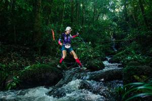 BIB: 
                            <button type="button" onclick="openModal(26774575)" class="btn btn-primary btn-sm float-right btn-popup" data-toggle="modal" data-target=".modal-high-quality">
                        <i class="fas fa-shopping-cart"></i> Add to Cart
                    </button>
                                            <button type="button" onclick="isThisMe(26774575, true)" class="btn btn-success btn-sm float-right btn-popup btn-isme hidden" data-toggle="tooltip" data-placement="bottom" title="นี่คือรูปของคุณใช่ไหม คลิกที่นี่เพื่อเอาเข้าอัลบั้ม">
                        <i class="fas fa-plus"></i> Add to album
                    </button>
                    <button type="button" onclick="isThisMe(26774575, false)" class="btn btn-warning btn-sm float-right btn-popup btn-isnotme hidden">
                        <i class="fas fa-ban"></i> Remove from album
                    </button>