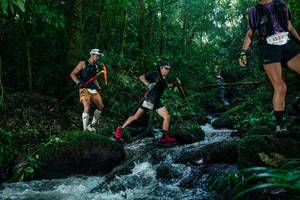 BIB: 
                            <button type="button" onclick="openModal(26774262)" class="btn btn-primary btn-sm float-right btn-popup" data-toggle="modal" data-target=".modal-high-quality">
                        <i class="fas fa-shopping-cart"></i> Add to Cart
                    </button>
                                            <button type="button" onclick="isThisMe(26774262, true)" class="btn btn-success btn-sm float-right btn-popup btn-isme hidden" data-toggle="tooltip" data-placement="bottom" title="นี่คือรูปของคุณใช่ไหม คลิกที่นี่เพื่อเอาเข้าอัลบั้ม">
                        <i class="fas fa-plus"></i> Add to album
                    </button>
                    <button type="button" onclick="isThisMe(26774262, false)" class="btn btn-warning btn-sm float-right btn-popup btn-isnotme hidden">
                        <i class="fas fa-ban"></i> Remove from album
                    </button>