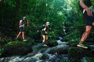 BIB: 
                            <button type="button" onclick="openModal(26780072)" class="btn btn-primary btn-sm float-right btn-popup" data-toggle="modal" data-target=".modal-high-quality">
                        <i class="fas fa-shopping-cart"></i> Add to Cart
                    </button>
                                            <button type="button" onclick="isThisMe(26780072, true)" class="btn btn-success btn-sm float-right btn-popup btn-isme hidden" data-toggle="tooltip" data-placement="bottom" title="นี่คือรูปของคุณใช่ไหม คลิกที่นี่เพื่อเอาเข้าอัลบั้ม">
                        <i class="fas fa-plus"></i> Add to album
                    </button>
                    <button type="button" onclick="isThisMe(26780072, false)" class="btn btn-warning btn-sm float-right btn-popup btn-isnotme hidden">
                        <i class="fas fa-ban"></i> Remove from album
                    </button>