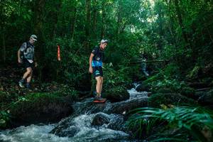 BIB: 
                            <button type="button" onclick="openModal(26773139)" class="btn btn-primary btn-sm float-right btn-popup" data-toggle="modal" data-target=".modal-high-quality">
                        <i class="fas fa-shopping-cart"></i> Add to Cart
                    </button>
                                            <button type="button" onclick="isThisMe(26773139, true)" class="btn btn-success btn-sm float-right btn-popup btn-isme hidden" data-toggle="tooltip" data-placement="bottom" title="นี่คือรูปของคุณใช่ไหม คลิกที่นี่เพื่อเอาเข้าอัลบั้ม">
                        <i class="fas fa-plus"></i> Add to album
                    </button>
                    <button type="button" onclick="isThisMe(26773139, false)" class="btn btn-warning btn-sm float-right btn-popup btn-isnotme hidden">
                        <i class="fas fa-ban"></i> Remove from album
                    </button>