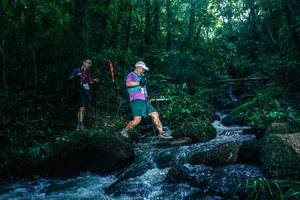 BIB: 
                            <button type="button" onclick="openModal(26779502)" class="btn btn-primary btn-sm float-right btn-popup" data-toggle="modal" data-target=".modal-high-quality">
                        <i class="fas fa-shopping-cart"></i> Add to Cart
                    </button>
                                            <button type="button" onclick="isThisMe(26779502, true)" class="btn btn-success btn-sm float-right btn-popup btn-isme hidden" data-toggle="tooltip" data-placement="bottom" title="นี่คือรูปของคุณใช่ไหม คลิกที่นี่เพื่อเอาเข้าอัลบั้ม">
                        <i class="fas fa-plus"></i> Add to album
                    </button>
                    <button type="button" onclick="isThisMe(26779502, false)" class="btn btn-warning btn-sm float-right btn-popup btn-isnotme hidden">
                        <i class="fas fa-ban"></i> Remove from album
                    </button>