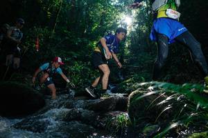 BIB: 
                            <button type="button" onclick="openModal(26776317)" class="btn btn-primary btn-sm float-right btn-popup" data-toggle="modal" data-target=".modal-high-quality">
                        <i class="fas fa-shopping-cart"></i> Add to Cart
                    </button>
                                            <button type="button" onclick="isThisMe(26776317, true)" class="btn btn-success btn-sm float-right btn-popup btn-isme hidden" data-toggle="tooltip" data-placement="bottom" title="นี่คือรูปของคุณใช่ไหม คลิกที่นี่เพื่อเอาเข้าอัลบั้ม">
                        <i class="fas fa-plus"></i> Add to album
                    </button>
                    <button type="button" onclick="isThisMe(26776317, false)" class="btn btn-warning btn-sm float-right btn-popup btn-isnotme hidden">
                        <i class="fas fa-ban"></i> Remove from album
                    </button>