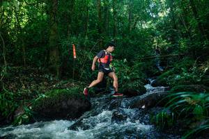 BIB: 
                            <button type="button" onclick="openModal(26772803)" class="btn btn-primary btn-sm float-right btn-popup" data-toggle="modal" data-target=".modal-high-quality">
                        <i class="fas fa-shopping-cart"></i> Add to Cart
                    </button>
                                            <button type="button" onclick="isThisMe(26772803, true)" class="btn btn-success btn-sm float-right btn-popup btn-isme hidden" data-toggle="tooltip" data-placement="bottom" title="นี่คือรูปของคุณใช่ไหม คลิกที่นี่เพื่อเอาเข้าอัลบั้ม">
                        <i class="fas fa-plus"></i> Add to album
                    </button>
                    <button type="button" onclick="isThisMe(26772803, false)" class="btn btn-warning btn-sm float-right btn-popup btn-isnotme hidden">
                        <i class="fas fa-ban"></i> Remove from album
                    </button>