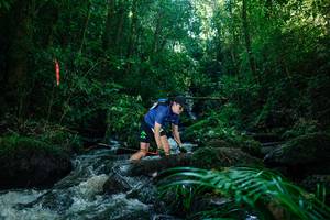 BIB: 
                            <button type="button" onclick="openModal(26774875)" class="btn btn-primary btn-sm float-right btn-popup" data-toggle="modal" data-target=".modal-high-quality">
                        <i class="fas fa-shopping-cart"></i> Add to Cart
                    </button>
                                            <button type="button" onclick="isThisMe(26774875, true)" class="btn btn-success btn-sm float-right btn-popup btn-isme hidden" data-toggle="tooltip" data-placement="bottom" title="นี่คือรูปของคุณใช่ไหม คลิกที่นี่เพื่อเอาเข้าอัลบั้ม">
                        <i class="fas fa-plus"></i> Add to album
                    </button>
                    <button type="button" onclick="isThisMe(26774875, false)" class="btn btn-warning btn-sm float-right btn-popup btn-isnotme hidden">
                        <i class="fas fa-ban"></i> Remove from album
                    </button>