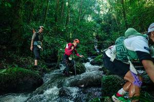 BIB: 
                            <button type="button" onclick="openModal(26780254)" class="btn btn-primary btn-sm float-right btn-popup" data-toggle="modal" data-target=".modal-high-quality">
                        <i class="fas fa-shopping-cart"></i> Add to Cart
                    </button>
                                            <button type="button" onclick="isThisMe(26780254, true)" class="btn btn-success btn-sm float-right btn-popup btn-isme hidden" data-toggle="tooltip" data-placement="bottom" title="นี่คือรูปของคุณใช่ไหม คลิกที่นี่เพื่อเอาเข้าอัลบั้ม">
                        <i class="fas fa-plus"></i> Add to album
                    </button>
                    <button type="button" onclick="isThisMe(26780254, false)" class="btn btn-warning btn-sm float-right btn-popup btn-isnotme hidden">
                        <i class="fas fa-ban"></i> Remove from album
                    </button>