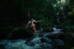 BIB: 
                            <button type="button" onclick="openModal(26775542)" class="btn btn-primary btn-sm float-right btn-popup" data-toggle="modal" data-target=".modal-high-quality">
                        <i class="fas fa-shopping-cart"></i> Add to Cart
                    </button>
                                            <button type="button" onclick="isThisMe(26775542, true)" class="btn btn-success btn-sm float-right btn-popup btn-isme hidden" data-toggle="tooltip" data-placement="bottom" title="นี่คือรูปของคุณใช่ไหม คลิกที่นี่เพื่อเอาเข้าอัลบั้ม">
                        <i class="fas fa-plus"></i> Add to album
                    </button>
                    <button type="button" onclick="isThisMe(26775542, false)" class="btn btn-warning btn-sm float-right btn-popup btn-isnotme hidden">
                        <i class="fas fa-ban"></i> Remove from album
                    </button>