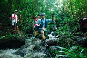 BIB: 
                            <button type="button" onclick="openModal(26780774)" class="btn btn-primary btn-sm float-right btn-popup" data-toggle="modal" data-target=".modal-high-quality">
                        <i class="fas fa-shopping-cart"></i> Add to Cart
                    </button>
                                            <button type="button" onclick="isThisMe(26780774, true)" class="btn btn-success btn-sm float-right btn-popup btn-isme hidden" data-toggle="tooltip" data-placement="bottom" title="นี่คือรูปของคุณใช่ไหม คลิกที่นี่เพื่อเอาเข้าอัลบั้ม">
                        <i class="fas fa-plus"></i> Add to album
                    </button>
                    <button type="button" onclick="isThisMe(26780774, false)" class="btn btn-warning btn-sm float-right btn-popup btn-isnotme hidden">
                        <i class="fas fa-ban"></i> Remove from album
                    </button>