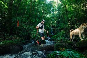 BIB: 
                            <button type="button" onclick="openModal(26756168)" class="btn btn-primary btn-sm float-right btn-popup" data-toggle="modal" data-target=".modal-high-quality">
                        <i class="fas fa-shopping-cart"></i> Add to Cart
                    </button>
                                            <button type="button" onclick="isThisMe(26756168, true)" class="btn btn-success btn-sm float-right btn-popup btn-isme hidden" data-toggle="tooltip" data-placement="bottom" title="นี่คือรูปของคุณใช่ไหม คลิกที่นี่เพื่อเอาเข้าอัลบั้ม">
                        <i class="fas fa-plus"></i> Add to album
                    </button>
                    <button type="button" onclick="isThisMe(26756168, false)" class="btn btn-warning btn-sm float-right btn-popup btn-isnotme hidden">
                        <i class="fas fa-ban"></i> Remove from album
                    </button>