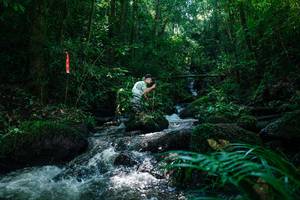 BIB: 
                            <button type="button" onclick="openModal(26773569)" class="btn btn-primary btn-sm float-right btn-popup" data-toggle="modal" data-target=".modal-high-quality">
                        <i class="fas fa-shopping-cart"></i> Add to Cart
                    </button>
                                            <button type="button" onclick="isThisMe(26773569, true)" class="btn btn-success btn-sm float-right btn-popup btn-isme hidden" data-toggle="tooltip" data-placement="bottom" title="นี่คือรูปของคุณใช่ไหม คลิกที่นี่เพื่อเอาเข้าอัลบั้ม">
                        <i class="fas fa-plus"></i> Add to album
                    </button>
                    <button type="button" onclick="isThisMe(26773569, false)" class="btn btn-warning btn-sm float-right btn-popup btn-isnotme hidden">
                        <i class="fas fa-ban"></i> Remove from album
                    </button>