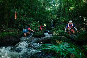 BIB: 
                            <button type="button" onclick="openModal(26772490)" class="btn btn-primary btn-sm float-right btn-popup" data-toggle="modal" data-target=".modal-high-quality">
                        <i class="fas fa-shopping-cart"></i> Add to Cart
                    </button>
                                            <button type="button" onclick="isThisMe(26772490, true)" class="btn btn-success btn-sm float-right btn-popup btn-isme hidden" data-toggle="tooltip" data-placement="bottom" title="นี่คือรูปของคุณใช่ไหม คลิกที่นี่เพื่อเอาเข้าอัลบั้ม">
                        <i class="fas fa-plus"></i> Add to album
                    </button>
                    <button type="button" onclick="isThisMe(26772490, false)" class="btn btn-warning btn-sm float-right btn-popup btn-isnotme hidden">
                        <i class="fas fa-ban"></i> Remove from album
                    </button>