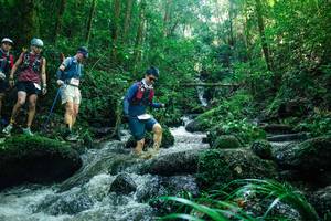 BIB: 
                            <button type="button" onclick="openModal(26780699)" class="btn btn-primary btn-sm float-right btn-popup" data-toggle="modal" data-target=".modal-high-quality">
                        <i class="fas fa-shopping-cart"></i> Add to Cart
                    </button>
                                            <button type="button" onclick="isThisMe(26780699, true)" class="btn btn-success btn-sm float-right btn-popup btn-isme hidden" data-toggle="tooltip" data-placement="bottom" title="นี่คือรูปของคุณใช่ไหม คลิกที่นี่เพื่อเอาเข้าอัลบั้ม">
                        <i class="fas fa-plus"></i> Add to album
                    </button>
                    <button type="button" onclick="isThisMe(26780699, false)" class="btn btn-warning btn-sm float-right btn-popup btn-isnotme hidden">
                        <i class="fas fa-ban"></i> Remove from album
                    </button>