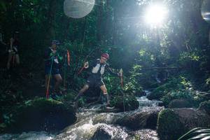 BIB: 
                            <button type="button" onclick="openModal(26775930)" class="btn btn-primary btn-sm float-right btn-popup" data-toggle="modal" data-target=".modal-high-quality">
                        <i class="fas fa-shopping-cart"></i> Add to Cart
                    </button>
                                            <button type="button" onclick="isThisMe(26775930, true)" class="btn btn-success btn-sm float-right btn-popup btn-isme hidden" data-toggle="tooltip" data-placement="bottom" title="นี่คือรูปของคุณใช่ไหม คลิกที่นี่เพื่อเอาเข้าอัลบั้ม">
                        <i class="fas fa-plus"></i> Add to album
                    </button>
                    <button type="button" onclick="isThisMe(26775930, false)" class="btn btn-warning btn-sm float-right btn-popup btn-isnotme hidden">
                        <i class="fas fa-ban"></i> Remove from album
                    </button>