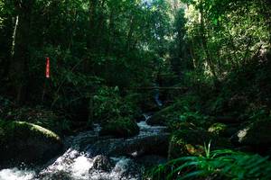 BIB: 
                            <button type="button" onclick="openModal(26696929)" class="btn btn-primary btn-sm float-right btn-popup" data-toggle="modal" data-target=".modal-high-quality">
                        <i class="fas fa-shopping-cart"></i> Add to Cart
                    </button>
                                            <button type="button" onclick="isThisMe(26696929, true)" class="btn btn-success btn-sm float-right btn-popup btn-isme hidden" data-toggle="tooltip" data-placement="bottom" title="นี่คือรูปของคุณใช่ไหม คลิกที่นี่เพื่อเอาเข้าอัลบั้ม">
                        <i class="fas fa-plus"></i> Add to album
                    </button>
                    <button type="button" onclick="isThisMe(26696929, false)" class="btn btn-warning btn-sm float-right btn-popup btn-isnotme hidden">
                        <i class="fas fa-ban"></i> Remove from album
                    </button>