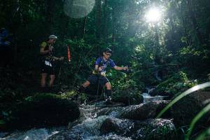 BIB: 
                            <button type="button" onclick="openModal(26776034)" class="btn btn-primary btn-sm float-right btn-popup" data-toggle="modal" data-target=".modal-high-quality">
                        <i class="fas fa-shopping-cart"></i> Add to Cart
                    </button>
                                            <button type="button" onclick="isThisMe(26776034, true)" class="btn btn-success btn-sm float-right btn-popup btn-isme hidden" data-toggle="tooltip" data-placement="bottom" title="นี่คือรูปของคุณใช่ไหม คลิกที่นี่เพื่อเอาเข้าอัลบั้ม">
                        <i class="fas fa-plus"></i> Add to album
                    </button>
                    <button type="button" onclick="isThisMe(26776034, false)" class="btn btn-warning btn-sm float-right btn-popup btn-isnotme hidden">
                        <i class="fas fa-ban"></i> Remove from album
                    </button>