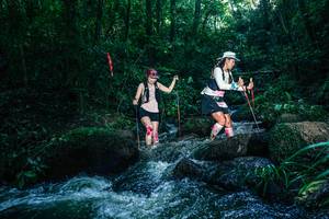 BIB: 
                            <button type="button" onclick="openModal(26778899)" class="btn btn-primary btn-sm float-right btn-popup" data-toggle="modal" data-target=".modal-high-quality">
                        <i class="fas fa-shopping-cart"></i> Add to Cart
                    </button>
                                            <button type="button" onclick="isThisMe(26778899, true)" class="btn btn-success btn-sm float-right btn-popup btn-isme hidden" data-toggle="tooltip" data-placement="bottom" title="นี่คือรูปของคุณใช่ไหม คลิกที่นี่เพื่อเอาเข้าอัลบั้ม">
                        <i class="fas fa-plus"></i> Add to album
                    </button>
                    <button type="button" onclick="isThisMe(26778899, false)" class="btn btn-warning btn-sm float-right btn-popup btn-isnotme hidden">
                        <i class="fas fa-ban"></i> Remove from album
                    </button>